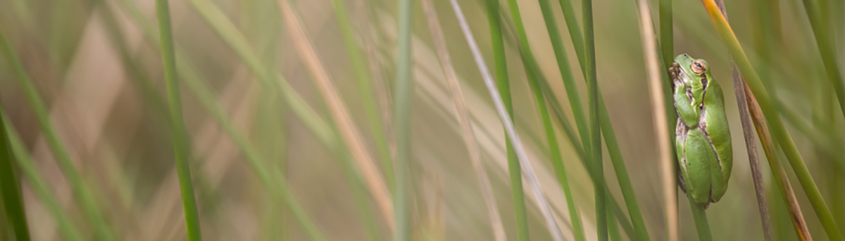 📷 Workshop fotografico in Sardegna su macro e paesaggio