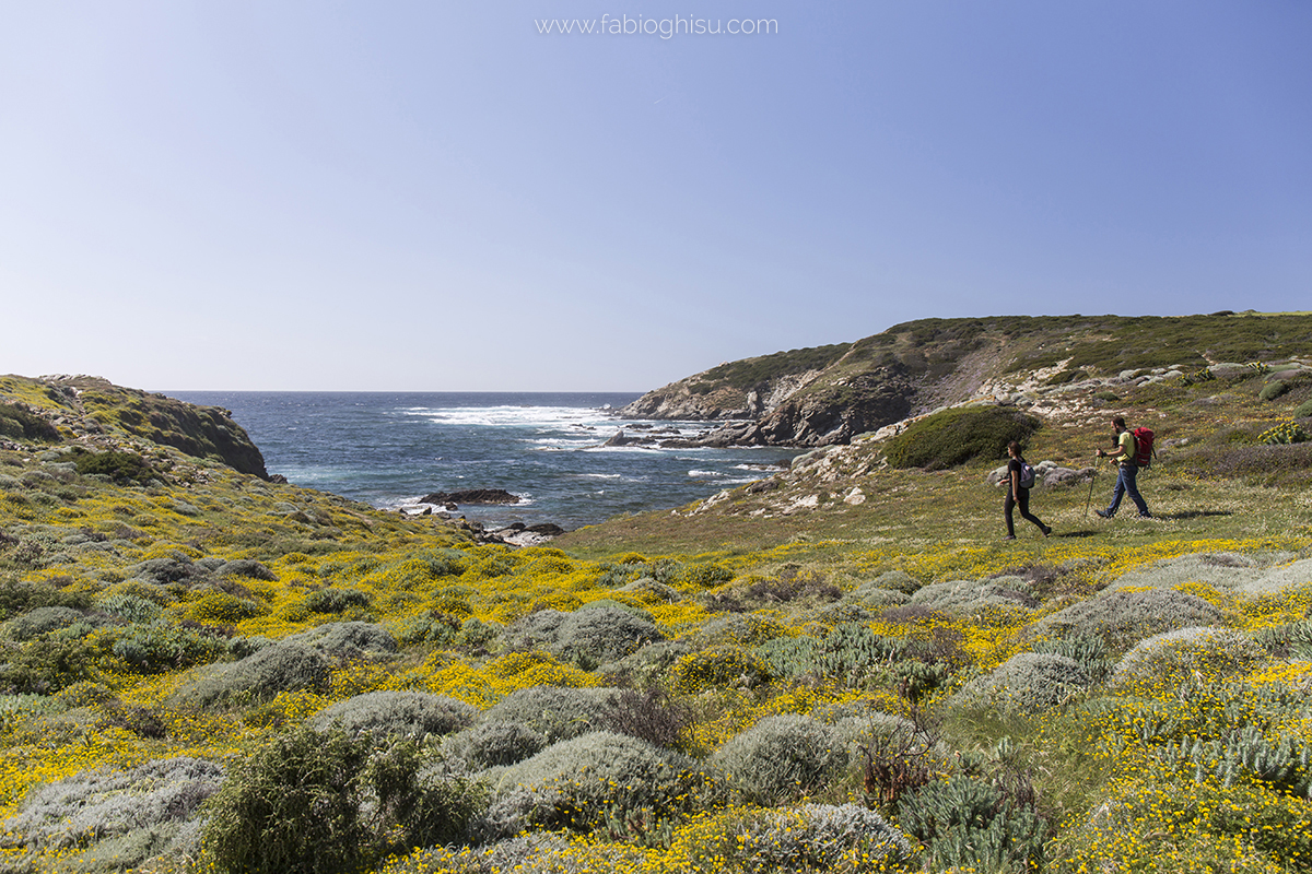 🥾 Cammino del Mare di Fuori in Sardegna in primavera