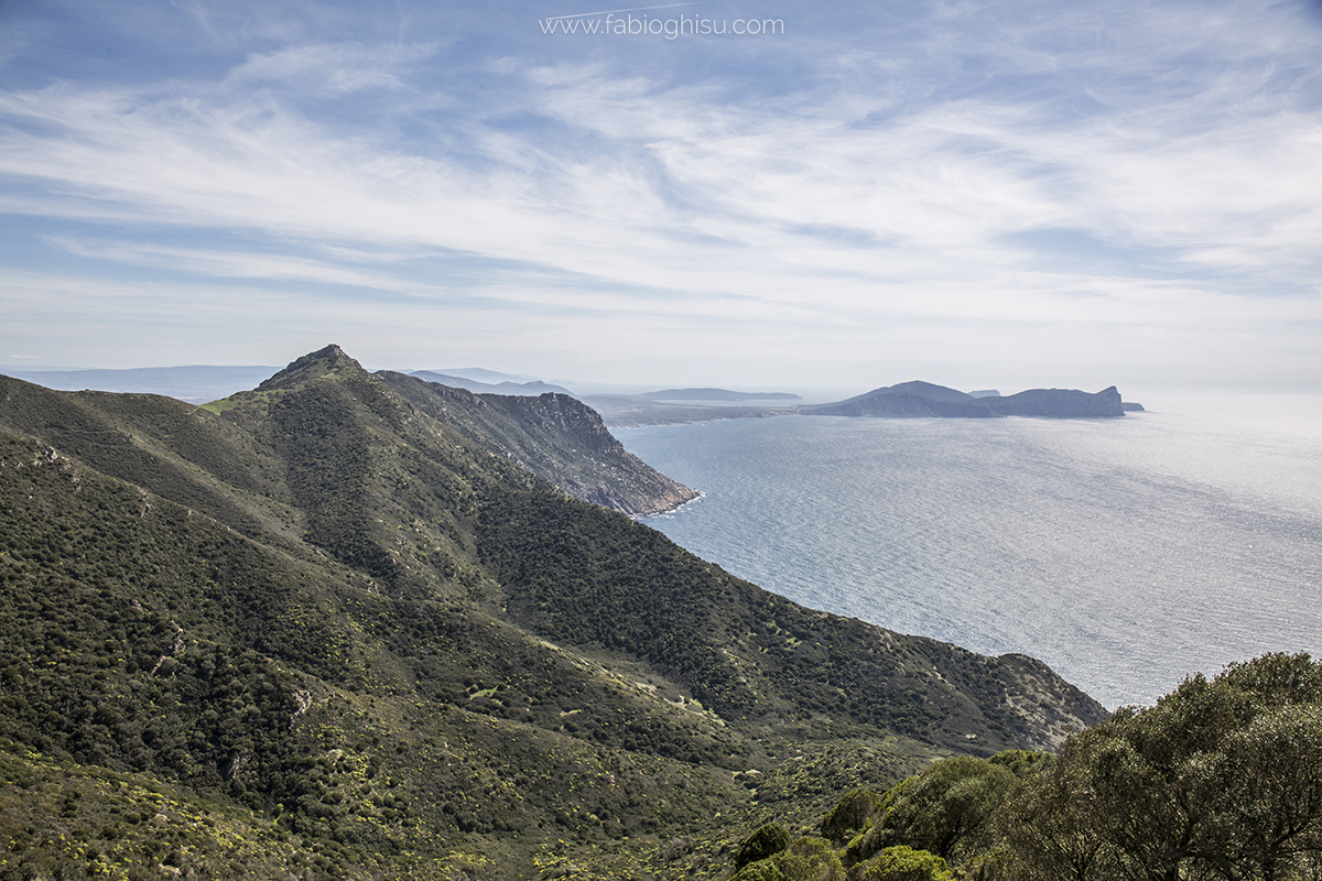 🥾 Cammino del Mare di Fuori in Sardegna in primavera