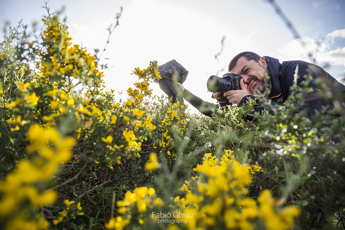 📷 Nature photography workshop