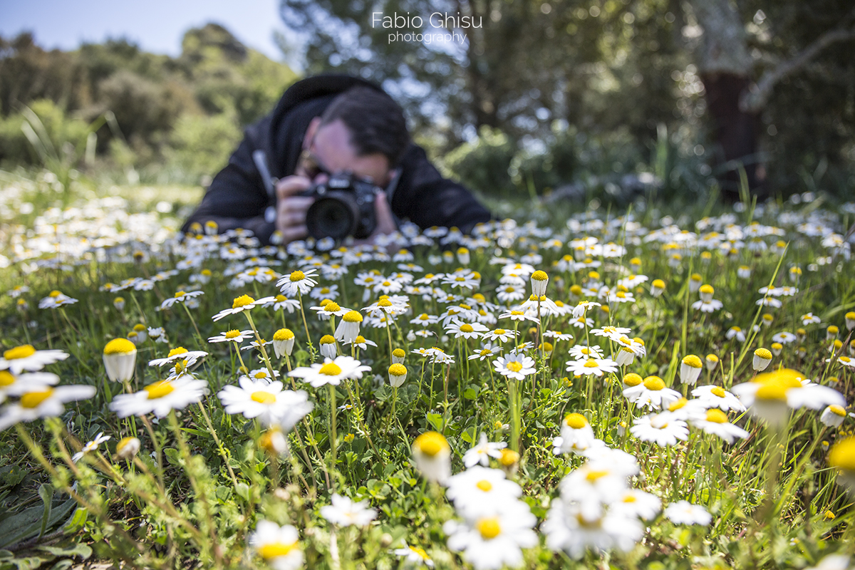 📷 Workshop fotografico in Sardegna su macro e paesaggio