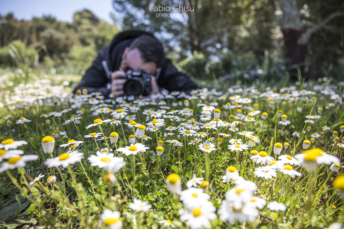 📷 Nature photography workshop