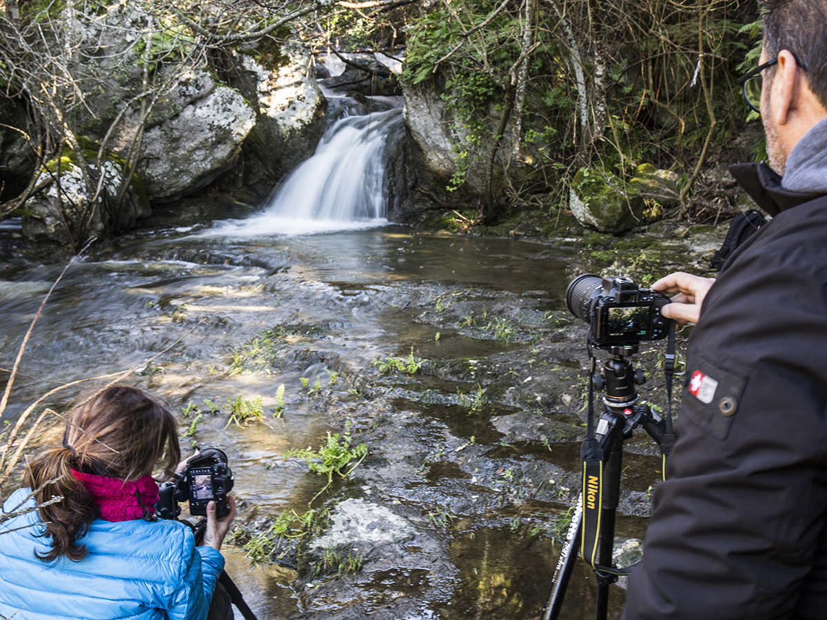 📷 Curso de fotografía de naturaleza