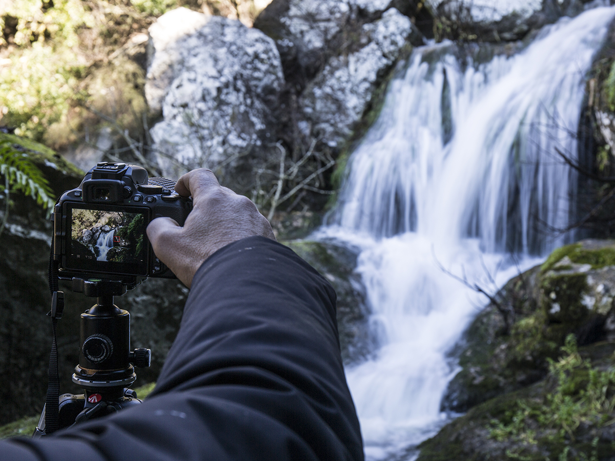 📷 Curso de fotografía de naturaleza