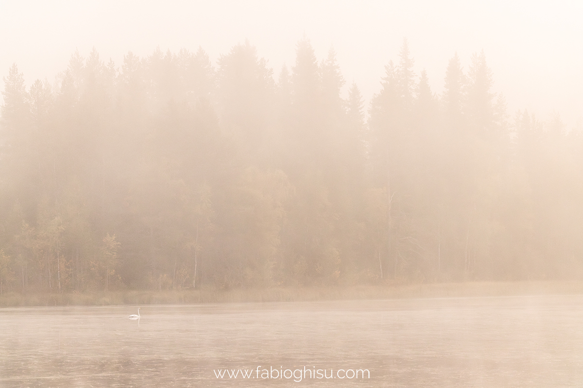 📷 Viaggio fotografico nella Lapponia Finlandese