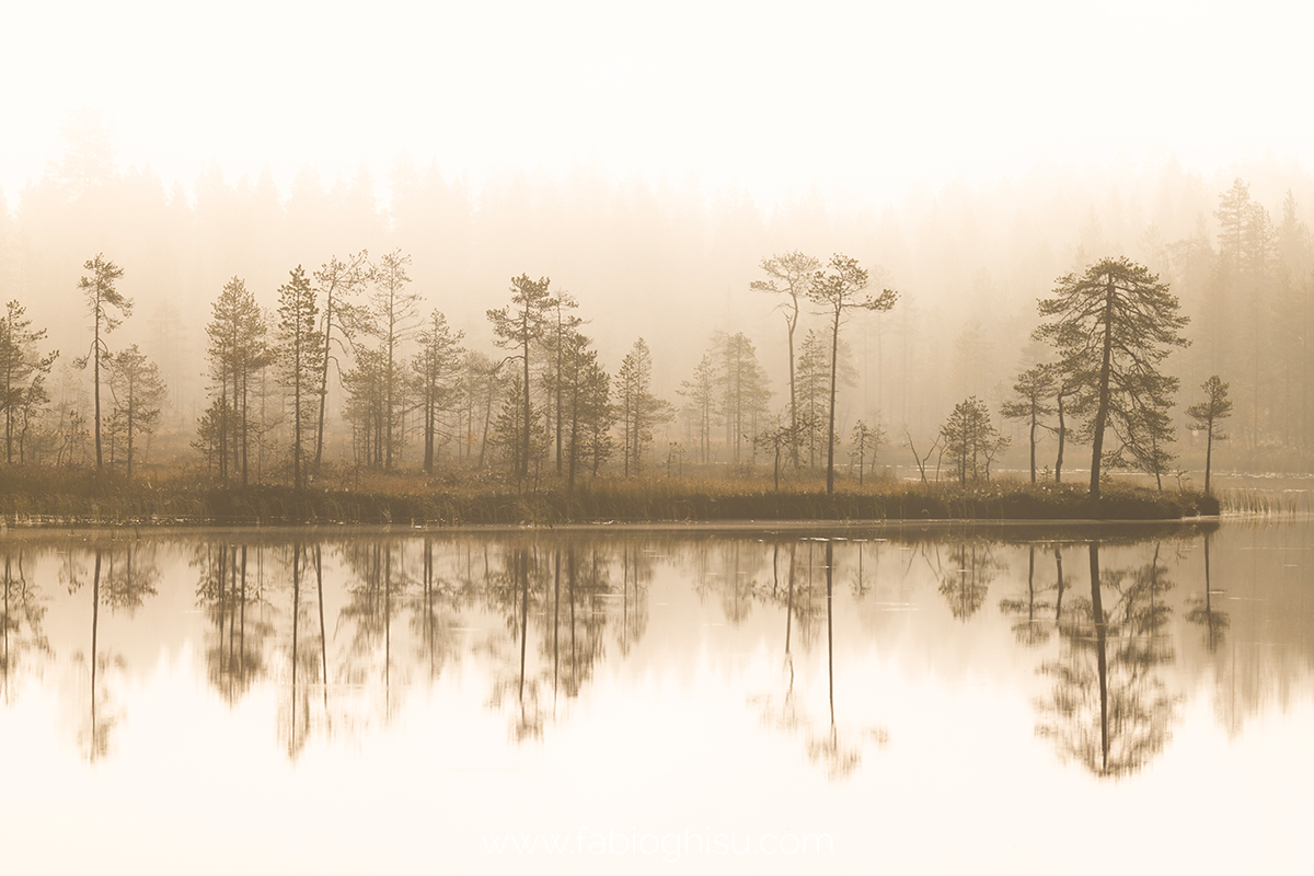 📷 Viaggio fotografico nella Lapponia Finlandese