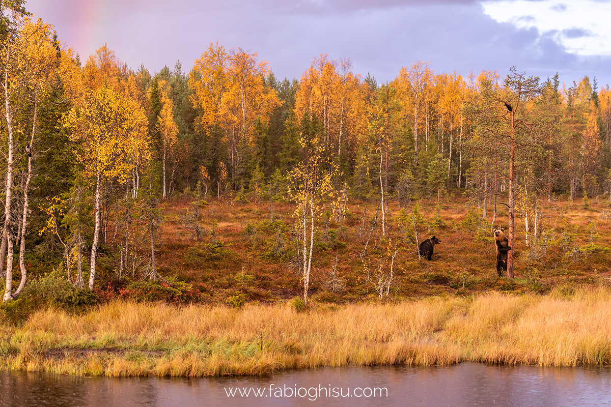 📷 Viaggio fotografico nella Lapponia Finlandese