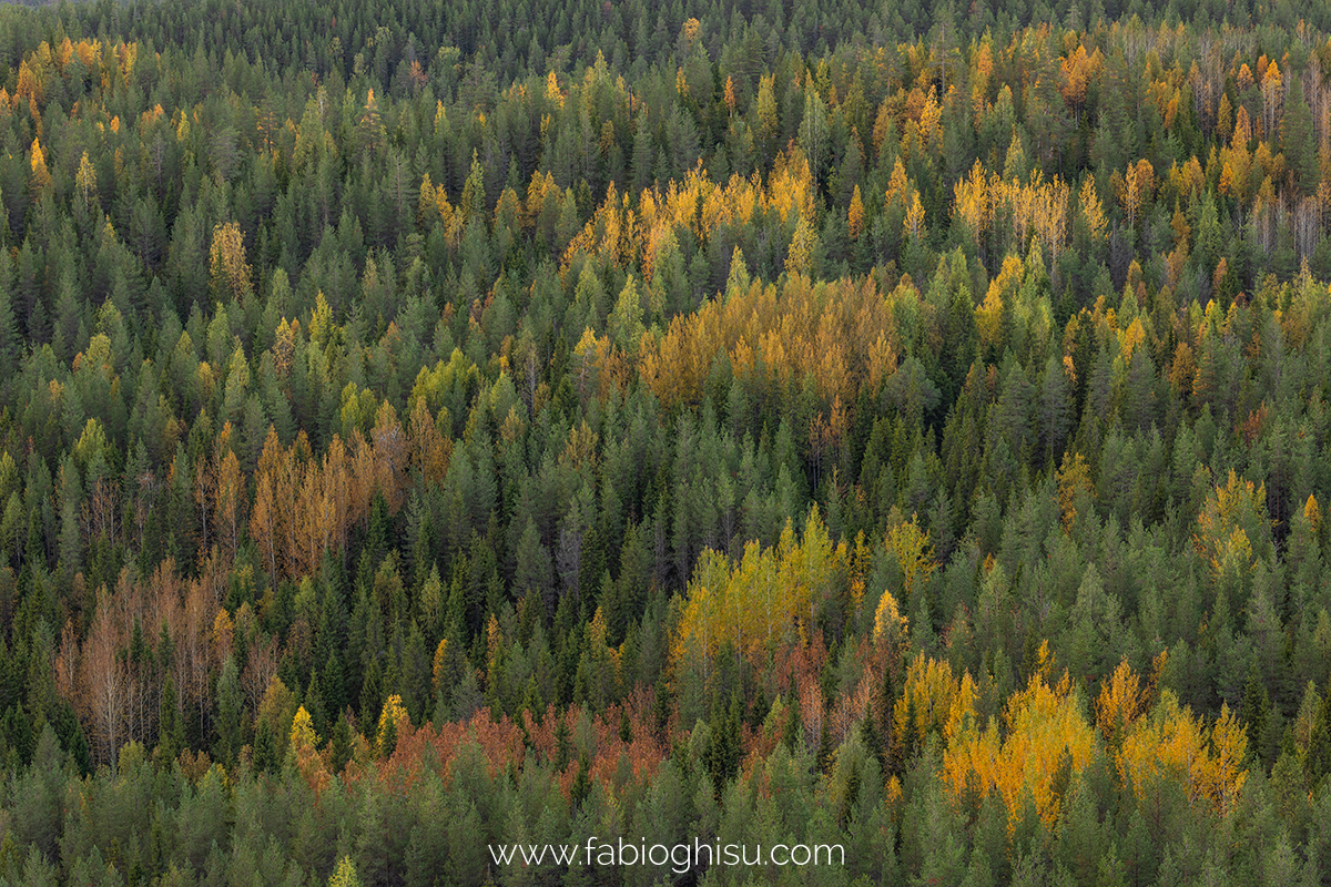 📷 Viaggio fotografico nella Lapponia Finlandese