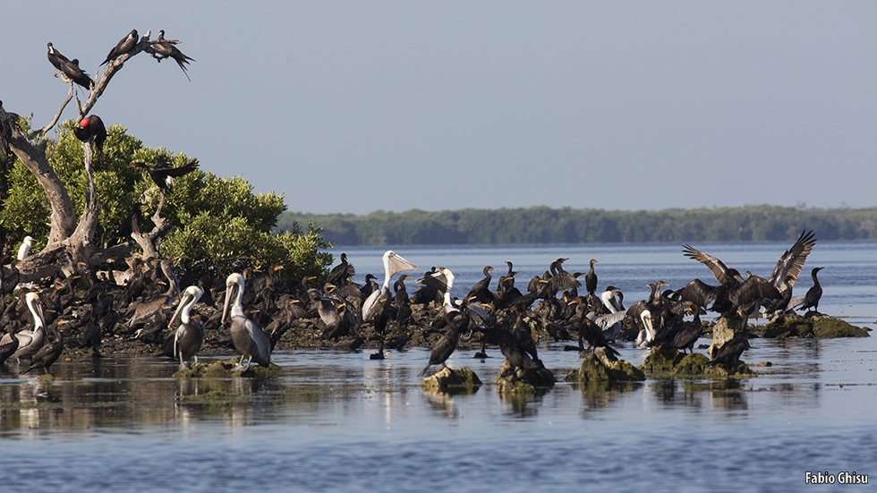 📷 Naturalistic journey in Yucatan