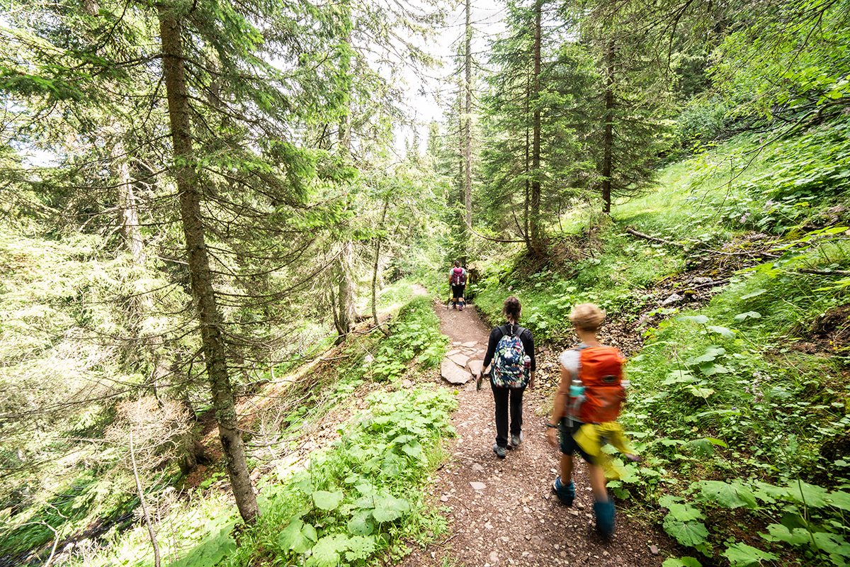 🥾 Estate sulle Alpi: settimane escursionistiche