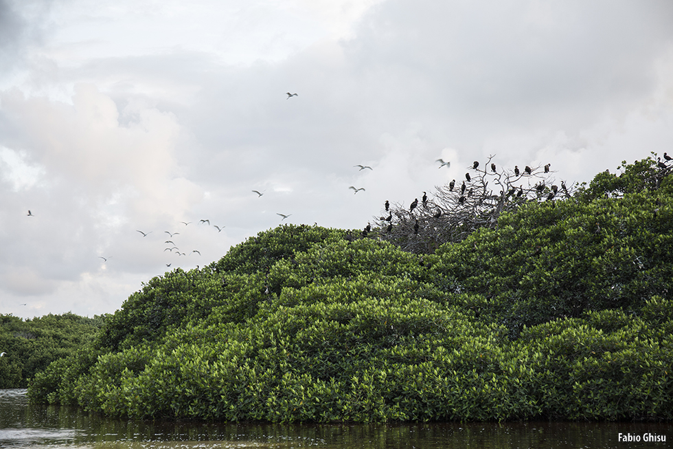 📷 Naturalistic journey in Yucatan