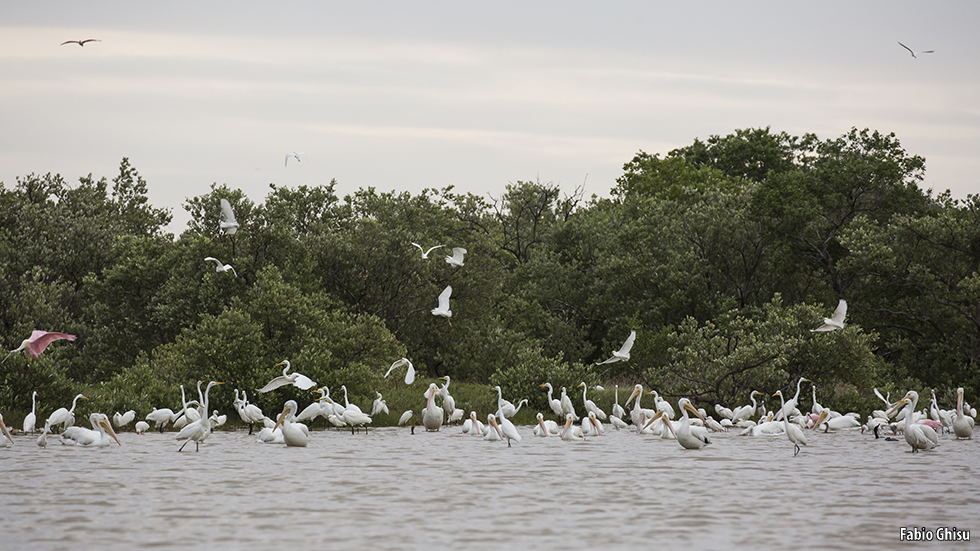 📷 Naturalistic journey in Yucatan