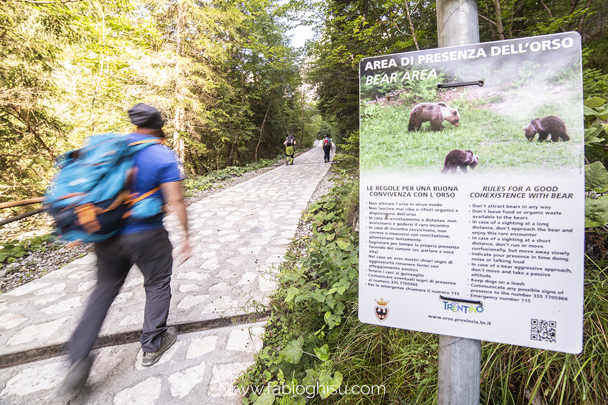 🥾  Verano en Trentino: semanas de senderismo