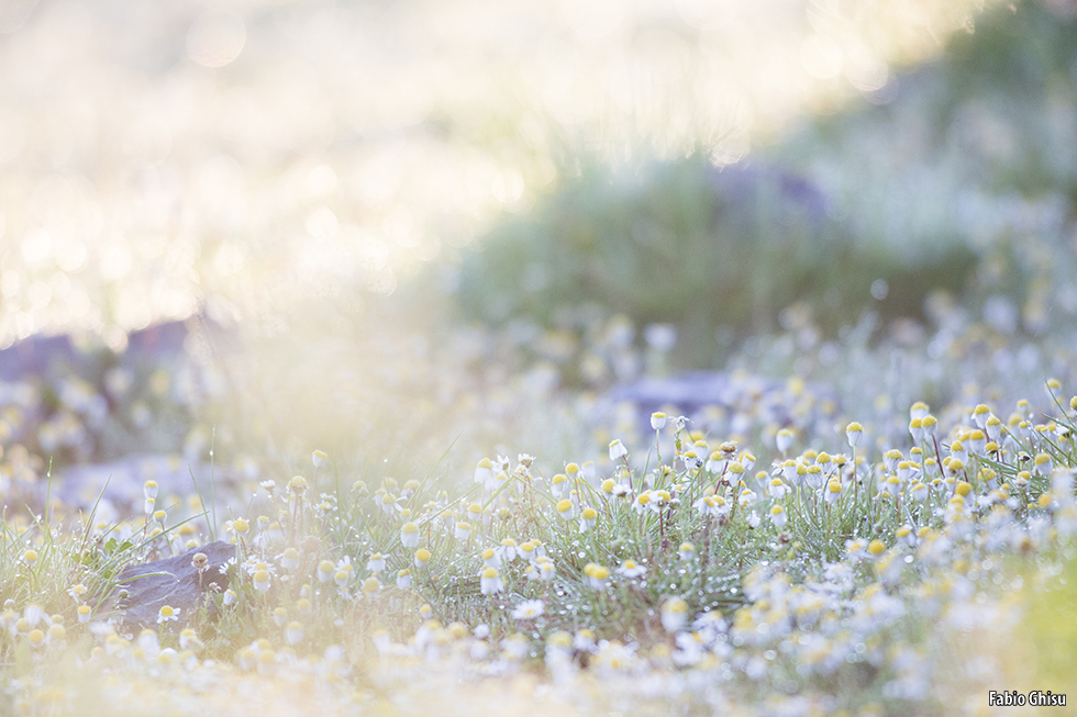 📷 Naturalistic journey in Sardinia