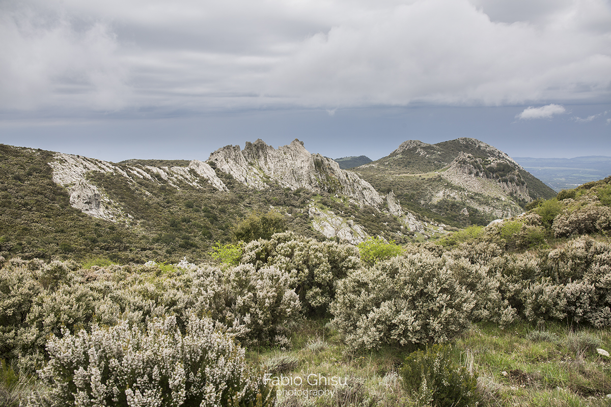 Excursión del Montiferru