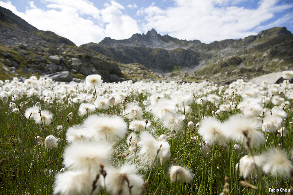 🥾  Summer in Trentino: trekking weeks