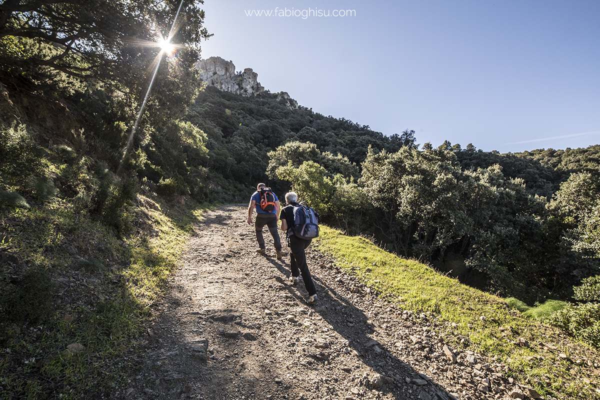 🥾 Escursioni giornaliere in Sardegna