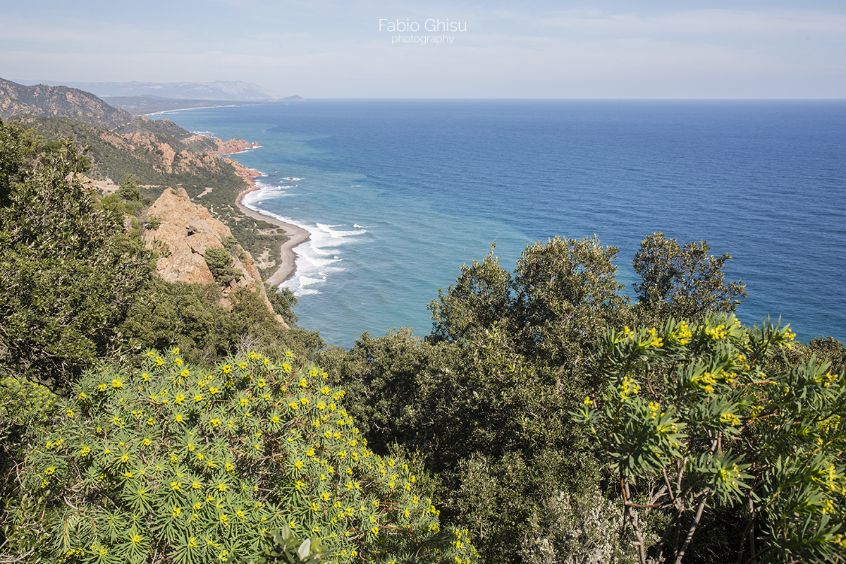 Three days of trekking in Ogliastra