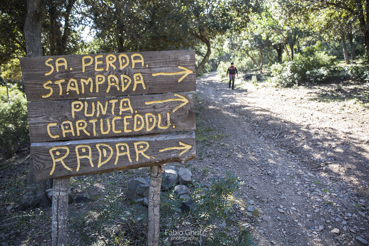 A week of trekking in Ogliastra