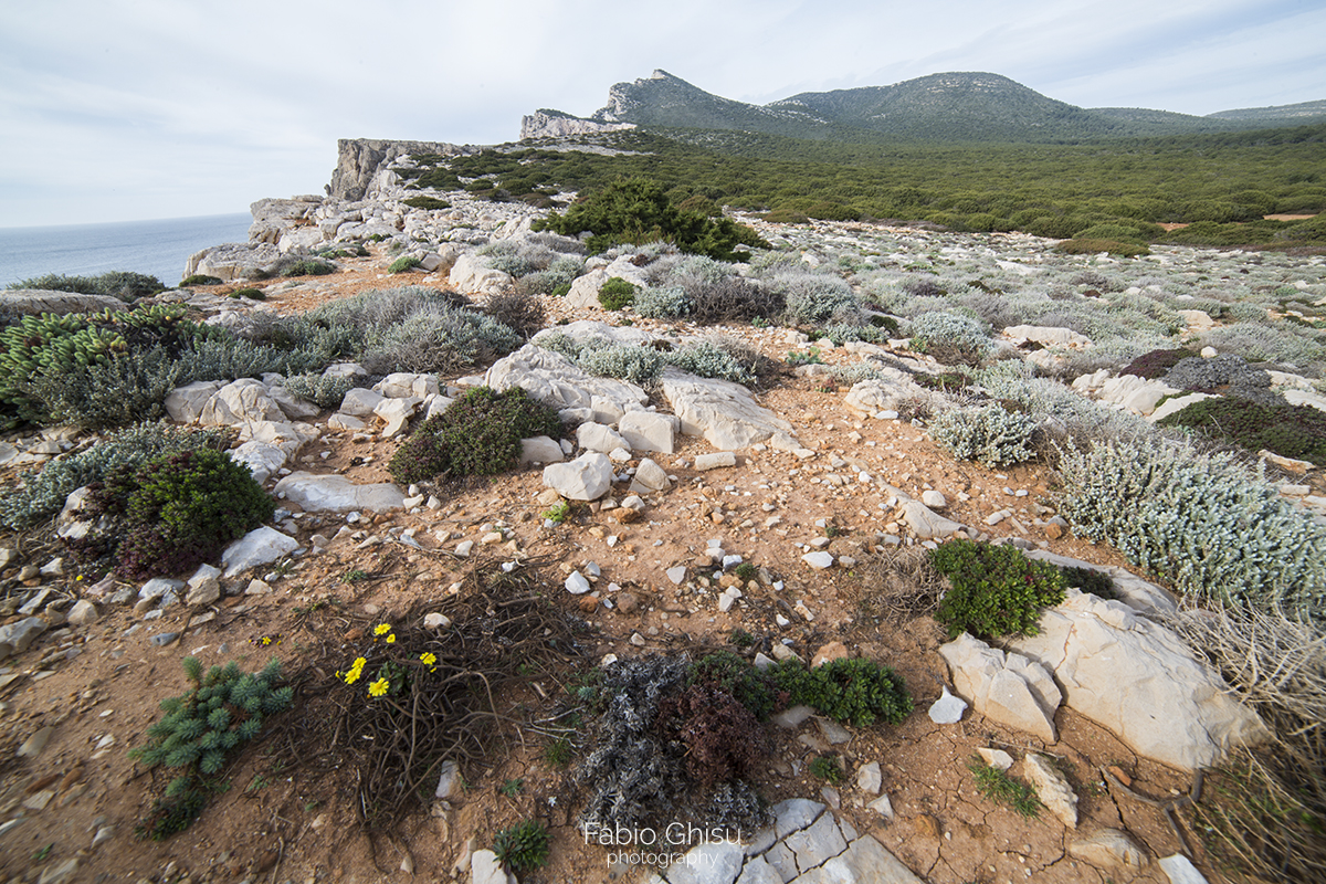 Trekking en las crestas del parque Porto Conte