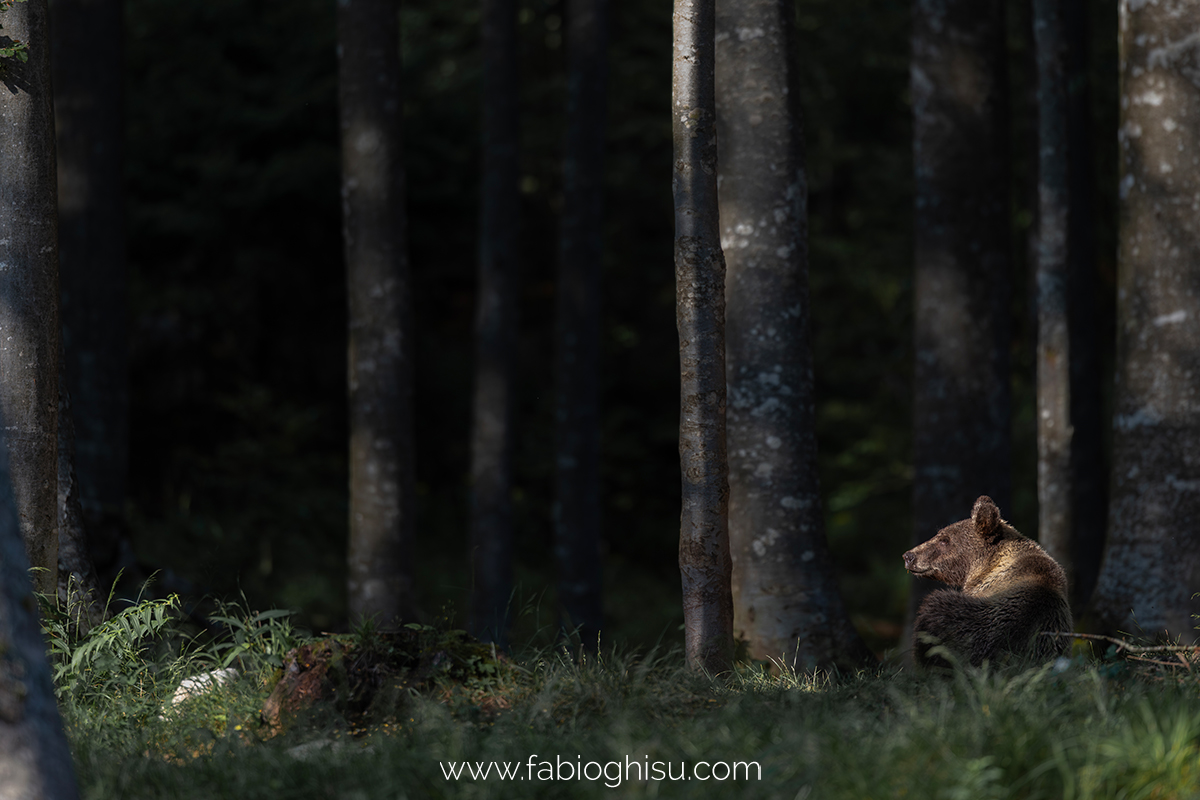 📷 Viaggio fotografico in Slovenia
