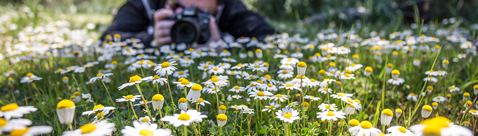 📷 ArtE/Orto dos dias de workshop de naturaleza