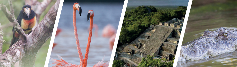📷 Viaje naturalista en Yucatán