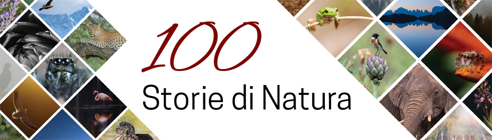 100 Nature Stories