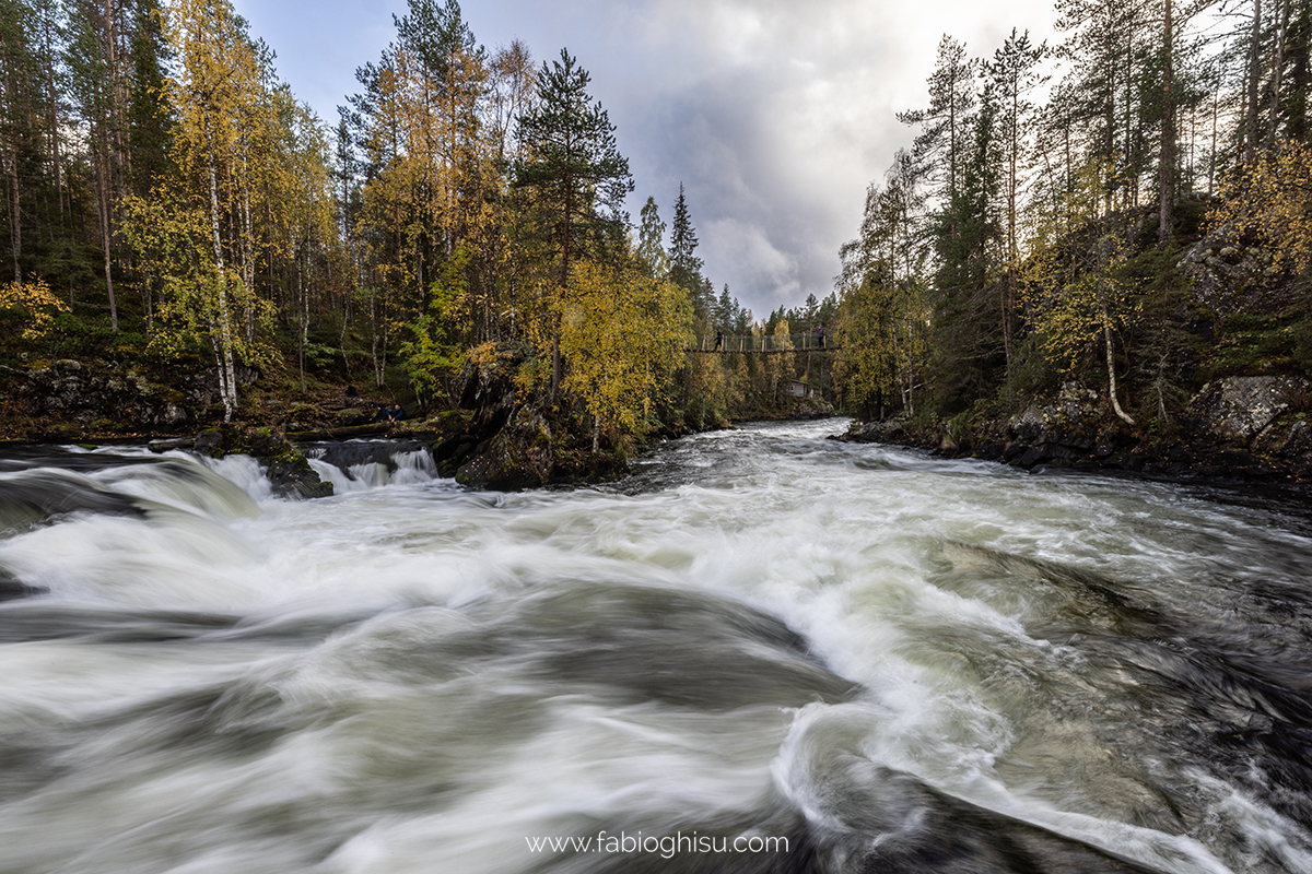 📷 Naturalistic journey in Finland