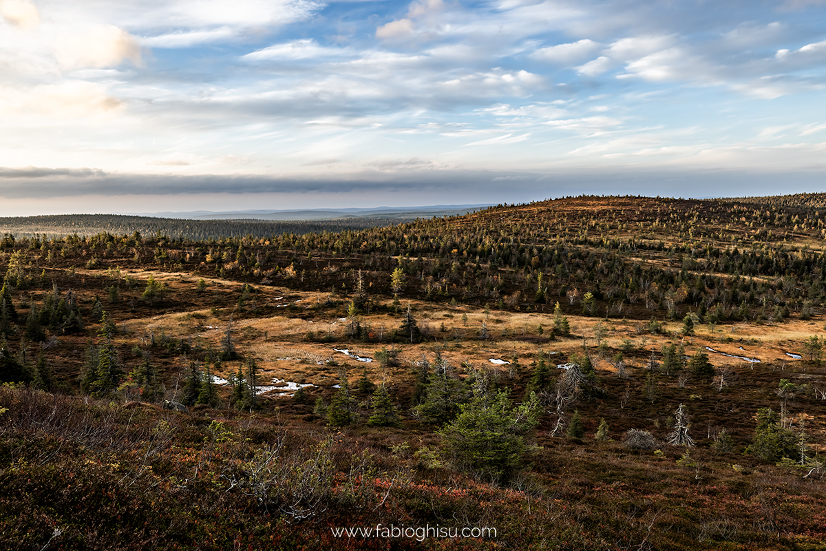 📷 Viaggio fotografico in Finlandia