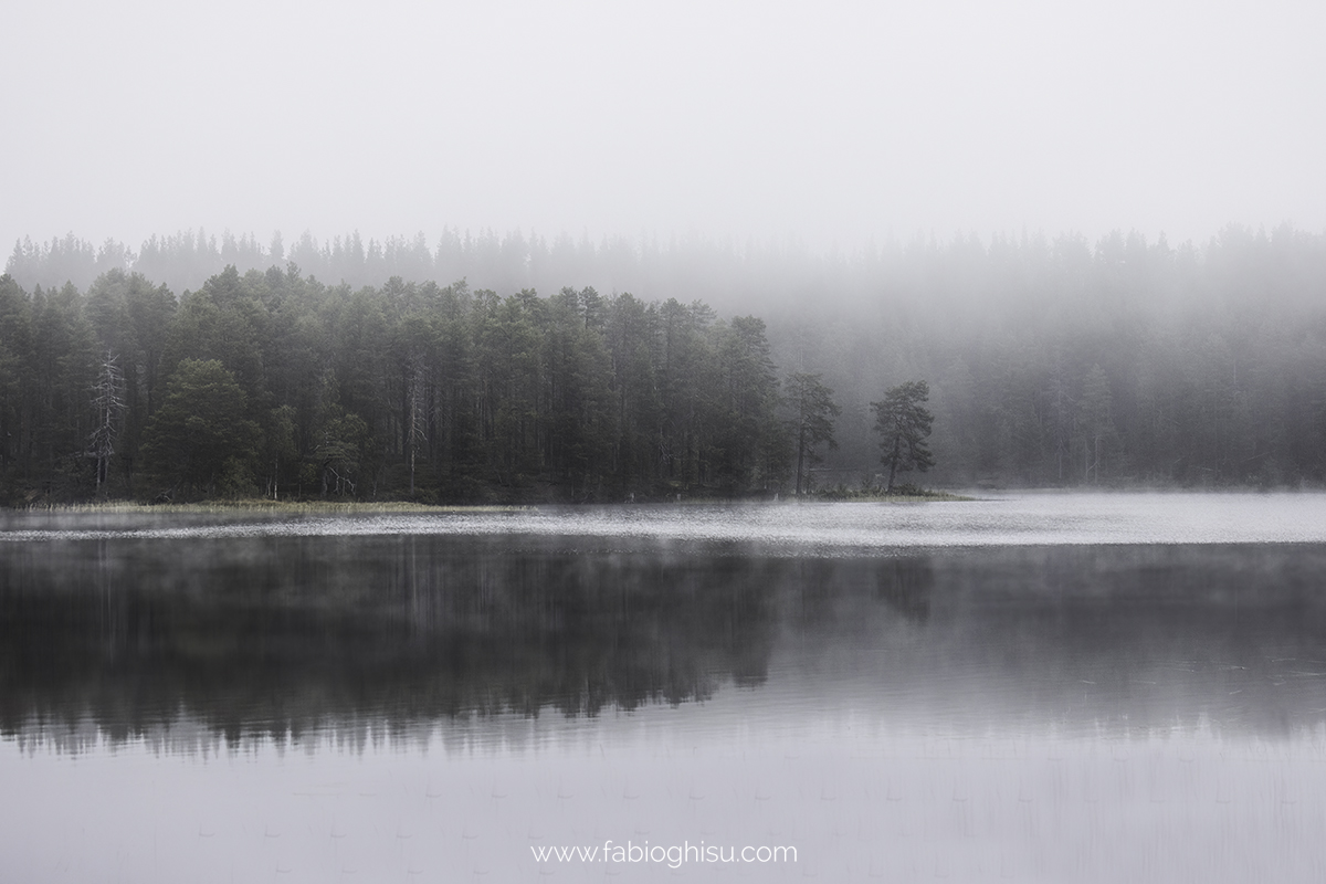 📷 Naturalistic journey in Finland