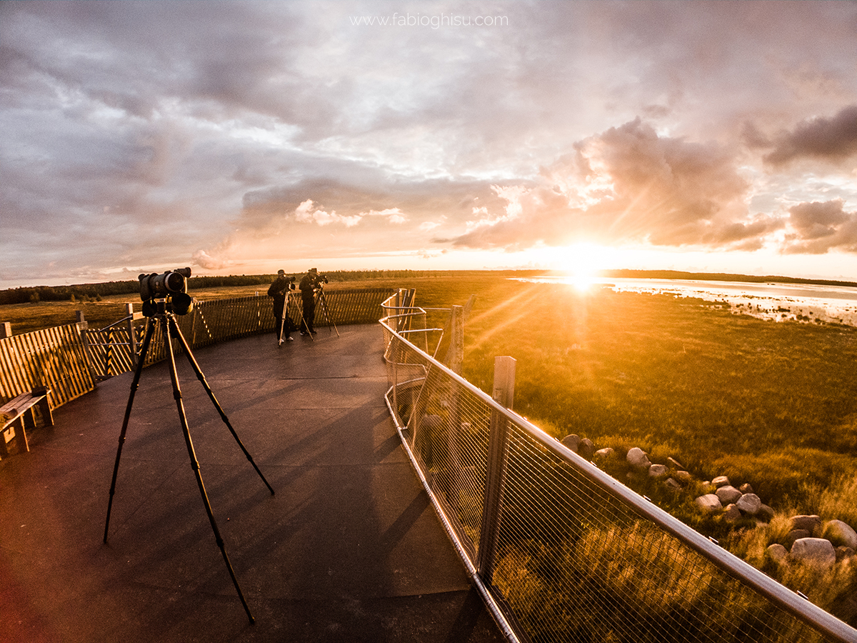 📷 Viaggio fotografico in Finlandia