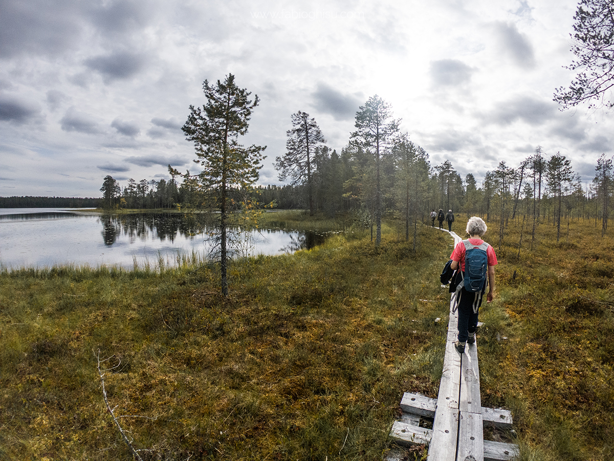 🥾 Trekking trip in Finlandia