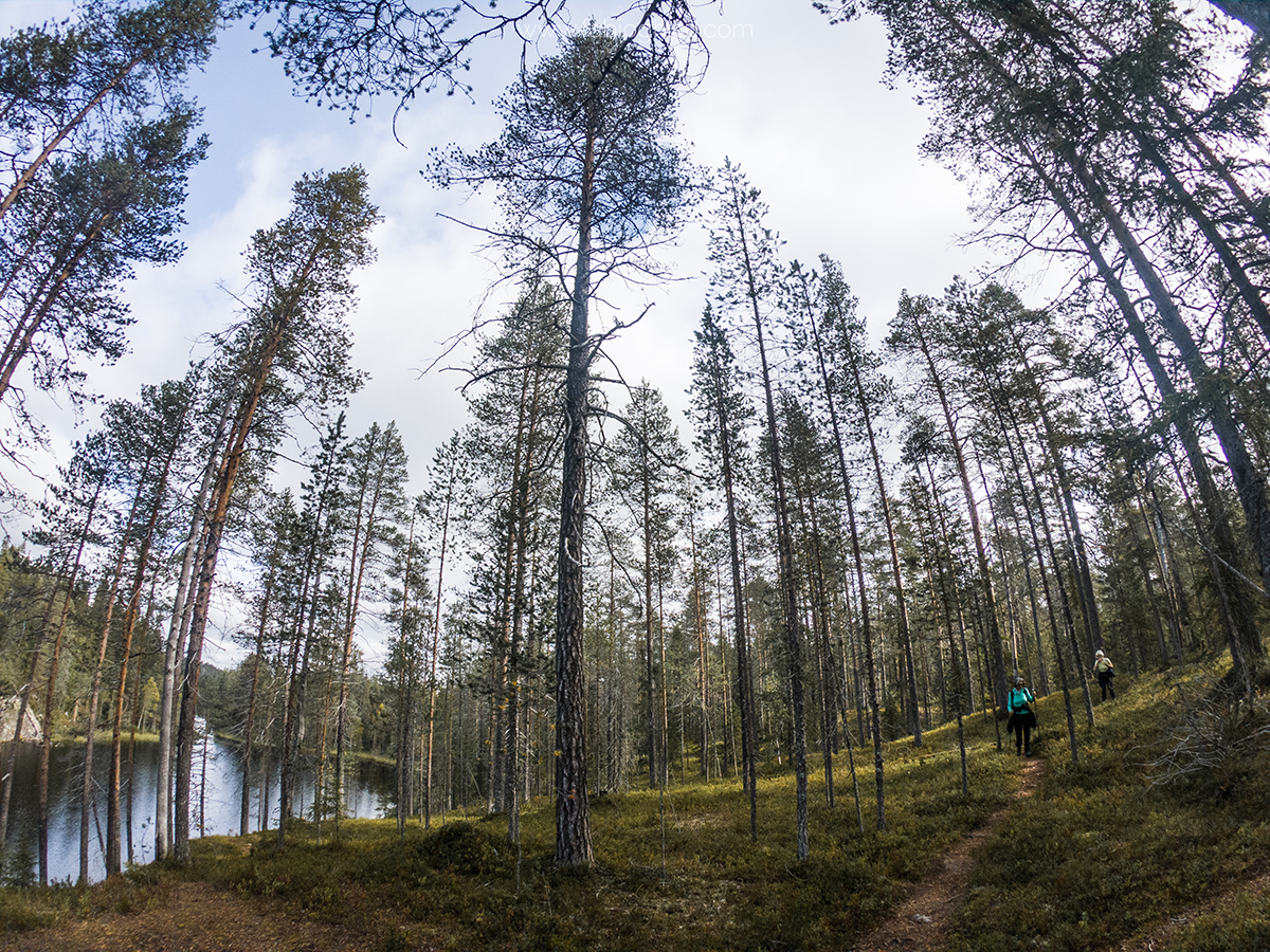 🥾 Viaggio escursionistico in Finlandia