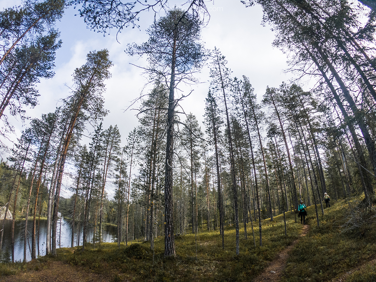 🥾 Trekking trip in Finlandia