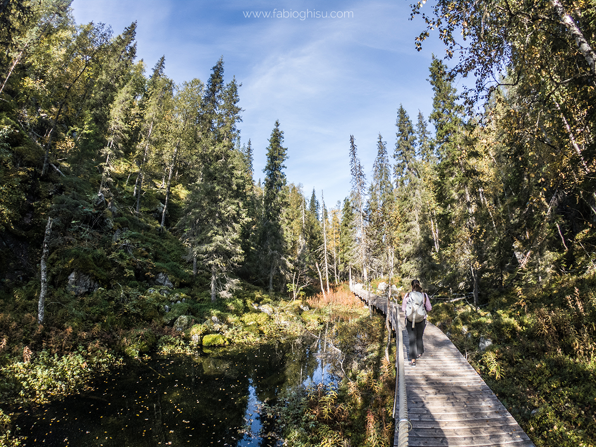 🥾 Trekking trip in Finlandia