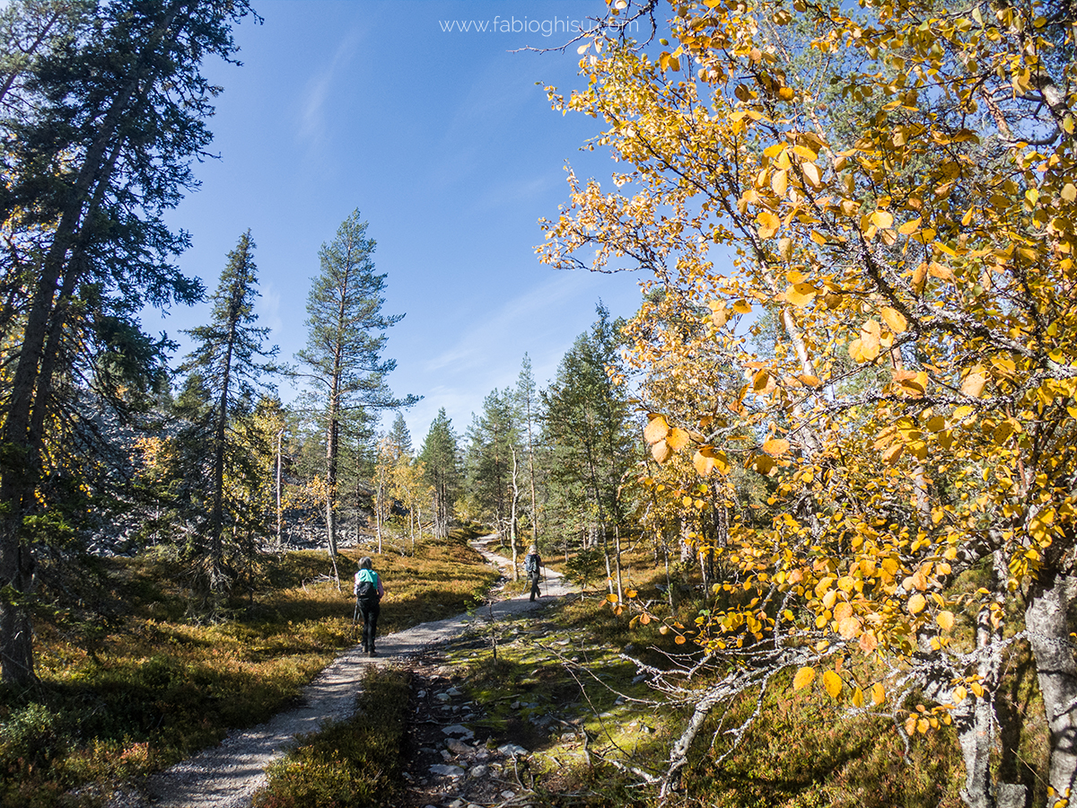 🥾 Trekking trip in Finlandia