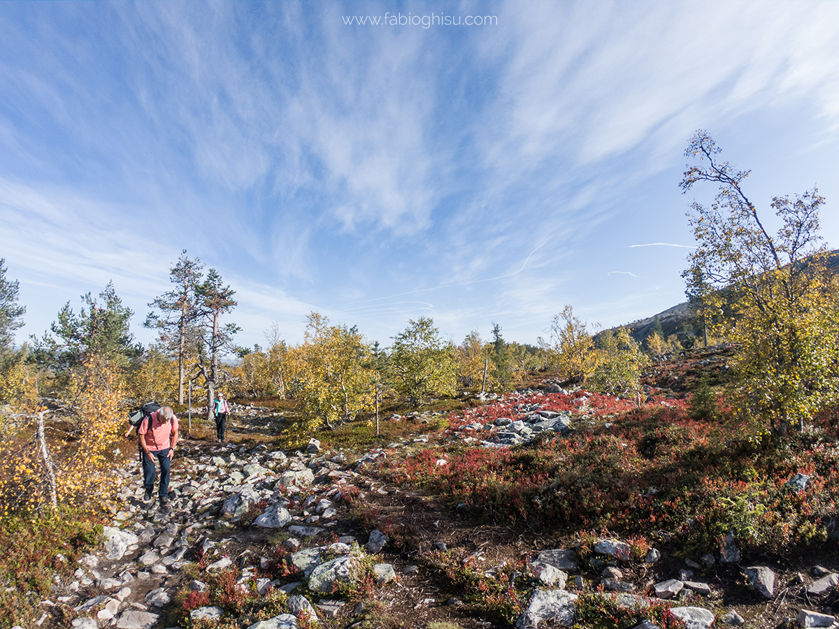 🥾 Trekking trip in Finlandia