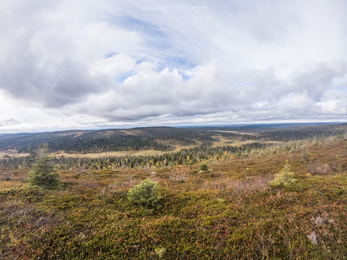 🥾 Trekking trip in Finlandia