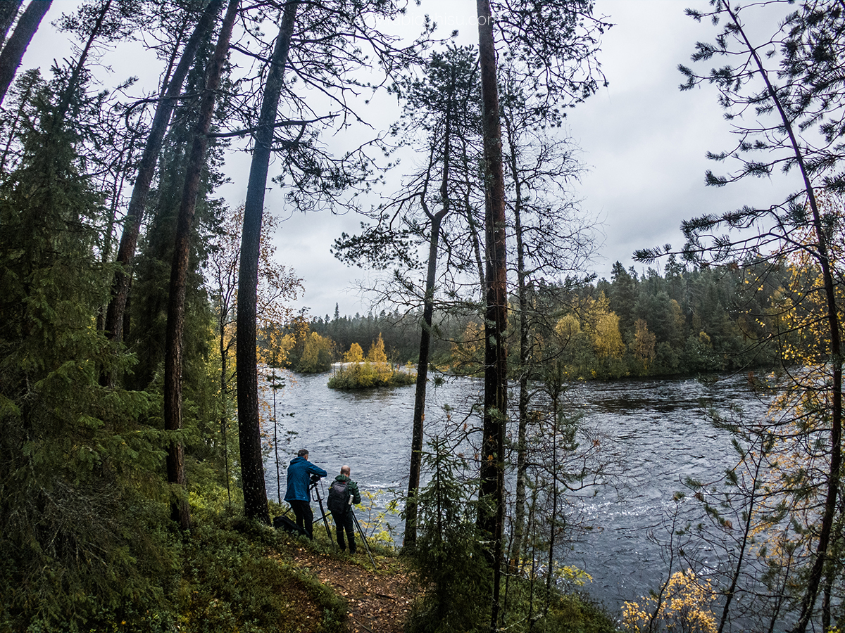 📷 Viaje naturalista en Finlandia