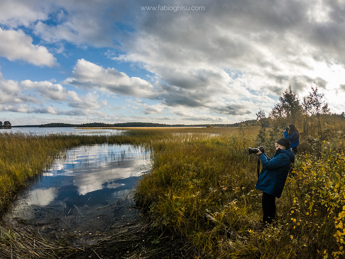 📷 Naturalistic journey in Finland