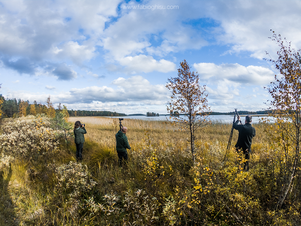 📷 Viaje naturalista en Finlandia