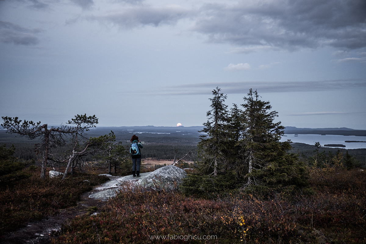 📷 Viaje naturalista en Finlandia