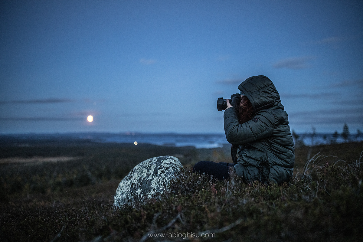 📷 Viaje naturalista en Finlandia