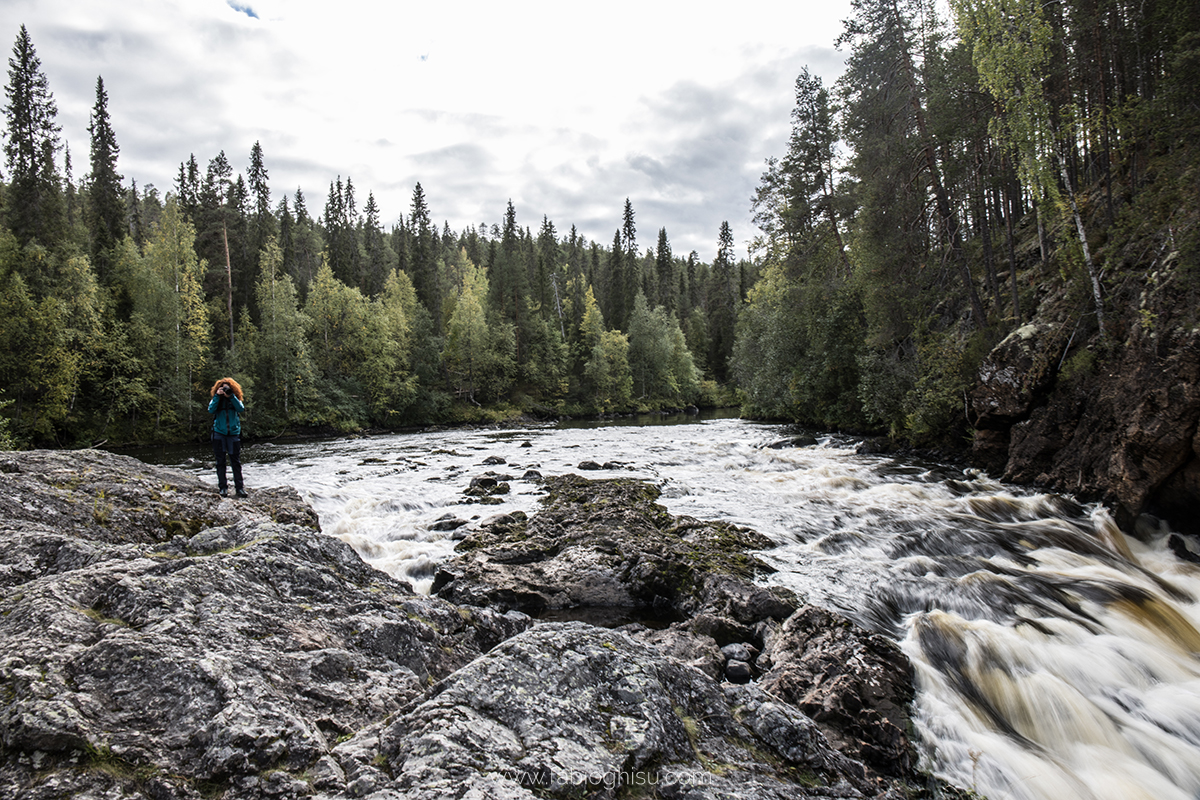 📷 Viaje naturalista en Finlandia