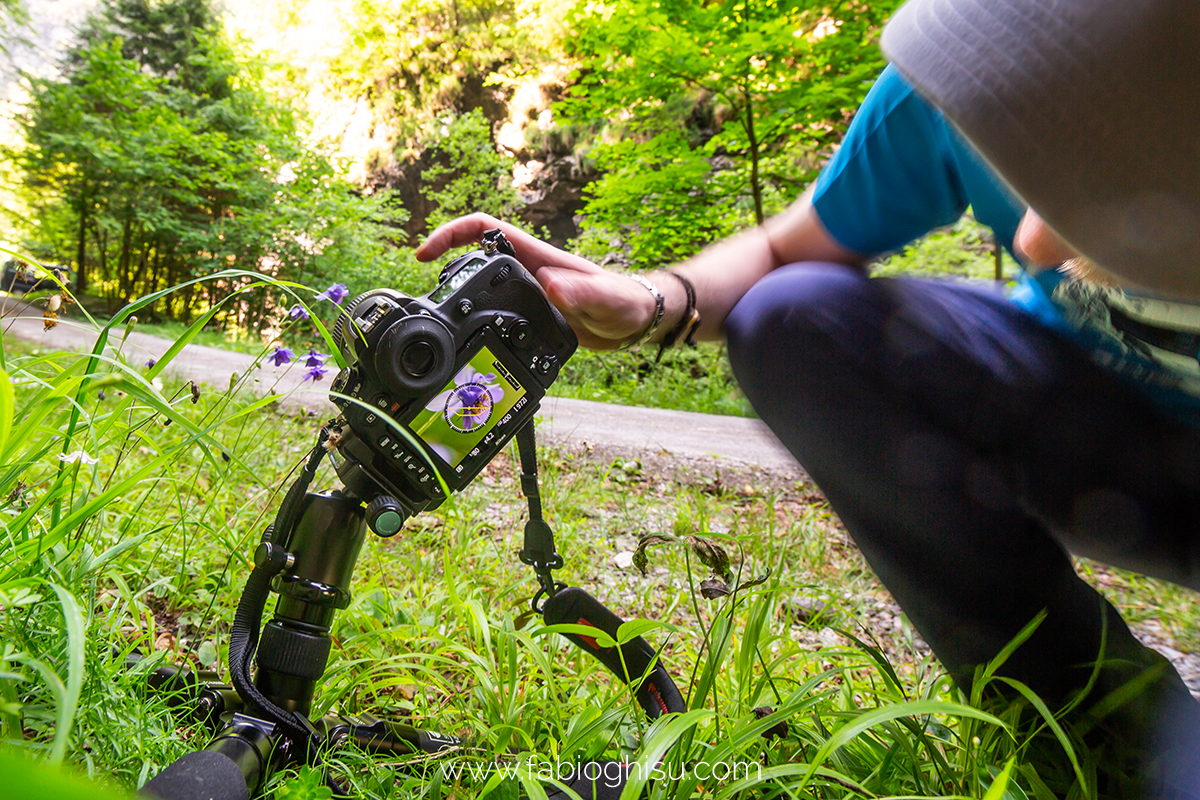 📷 Viaje fotografico en Cerdeña entre macro i paisaje