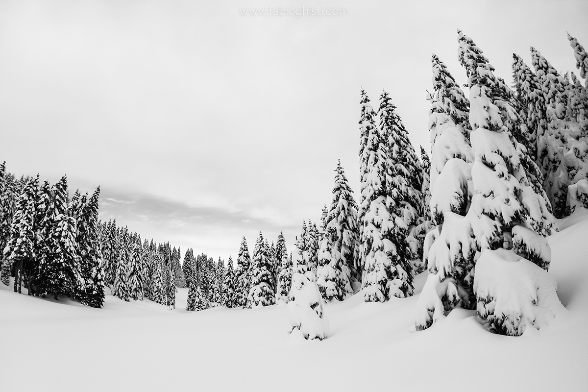 📷 White & pink: workshop of landscape photography