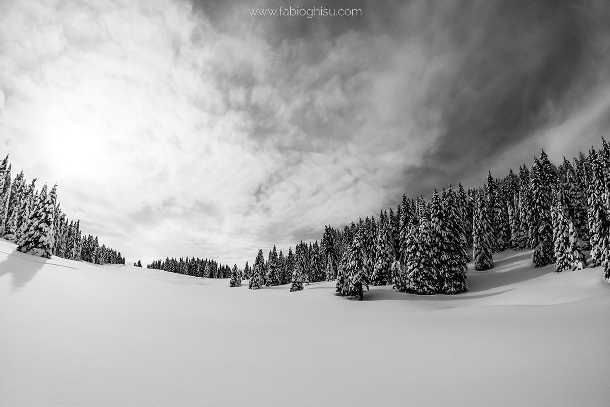 📷 White & pink: workshop of landscape photography