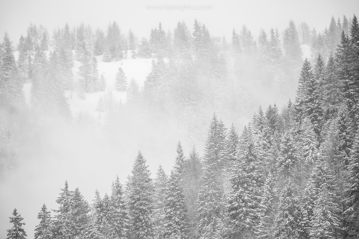 📷 Bianco e rosa: lab di fotografia sul paesaggio d'inverno