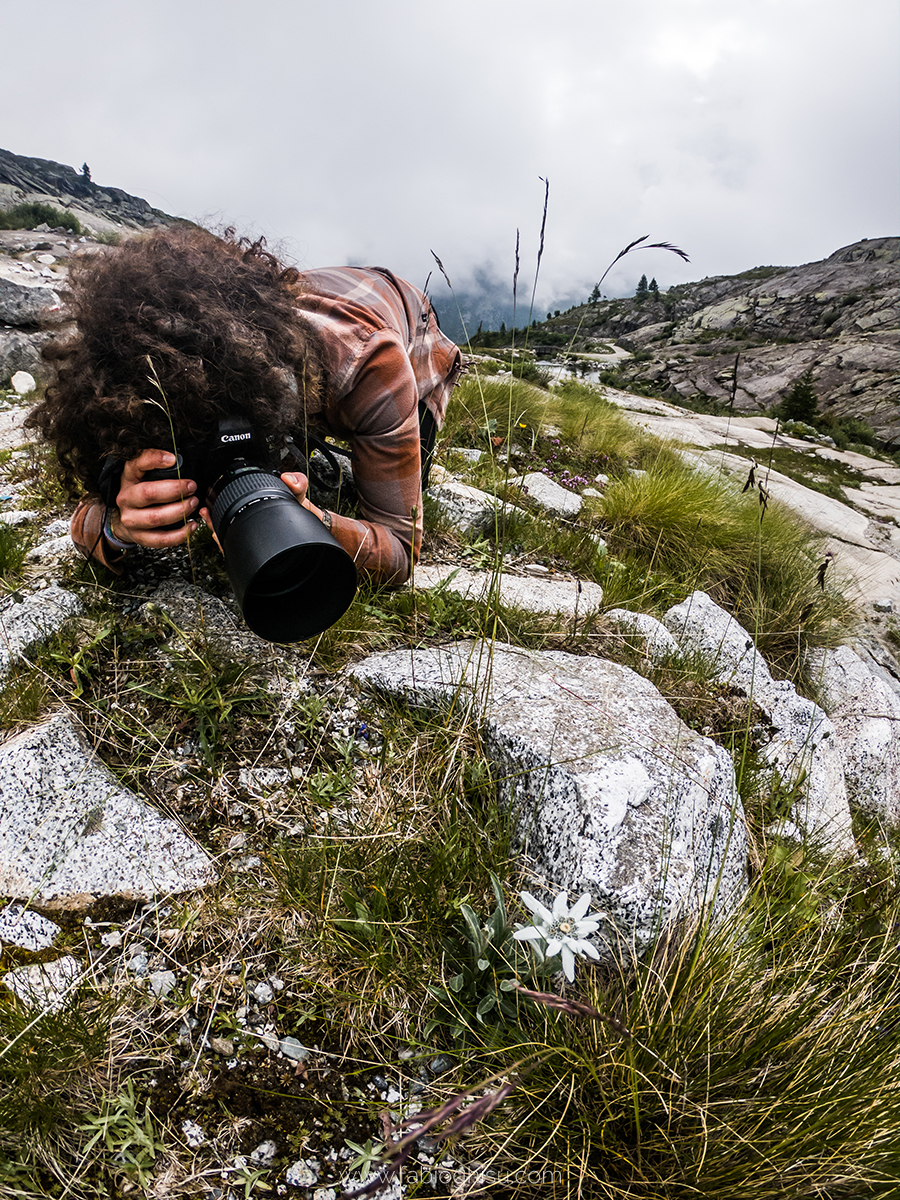 📷 Workshop fotografico in Trentino su macro e paesaggio